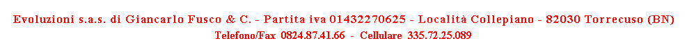 Evoluzioni s.a.s. di Giancarlo Fusco & C. - Partita iva 01432270625 - Localit Collepiano - 82030 Torrecuso (BN)